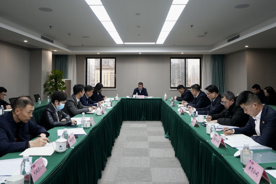 四川省庄闲游戏集团开展纪检监察干部队伍教育整顿学习教育